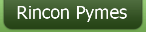 Rincon Pymes - Posicionamiento web